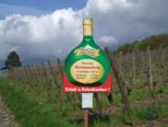 erlenbach_002.jpg