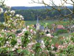 erlenbach_058.jpg