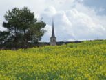 erlenbach_136.jpg