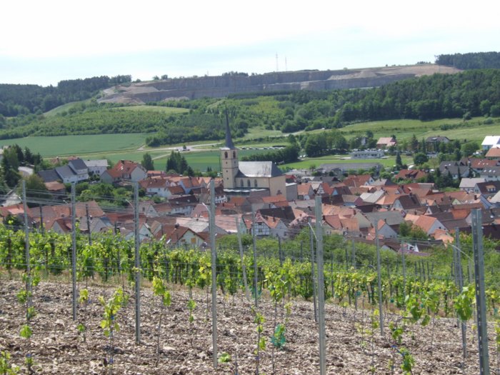 weinwandertag__109.jpg