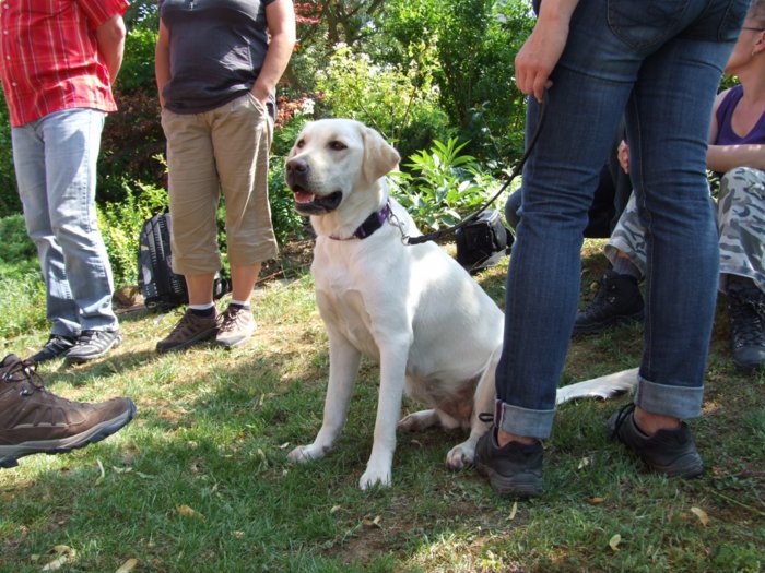 weinwandertag__267.jpg
