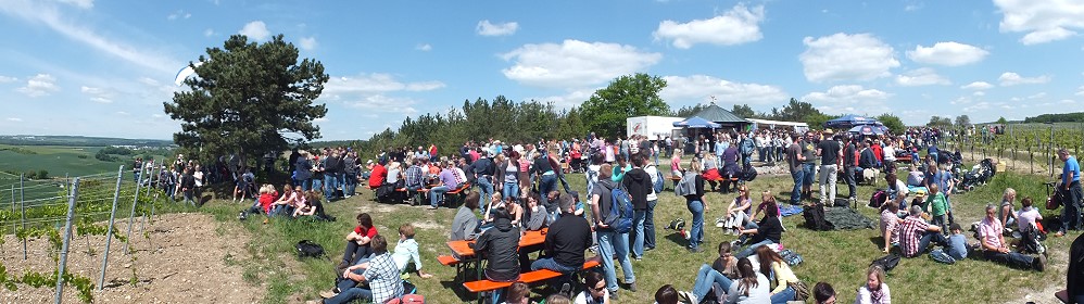 Weinwandertag 2012 in Erlenbach bei Marktheidenfeld