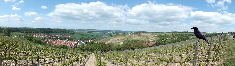 Weinwandertag 2012 in Erlenbach bei Marktheidenfeld