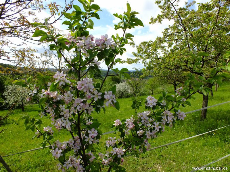 wwandertag2013__146.jpg