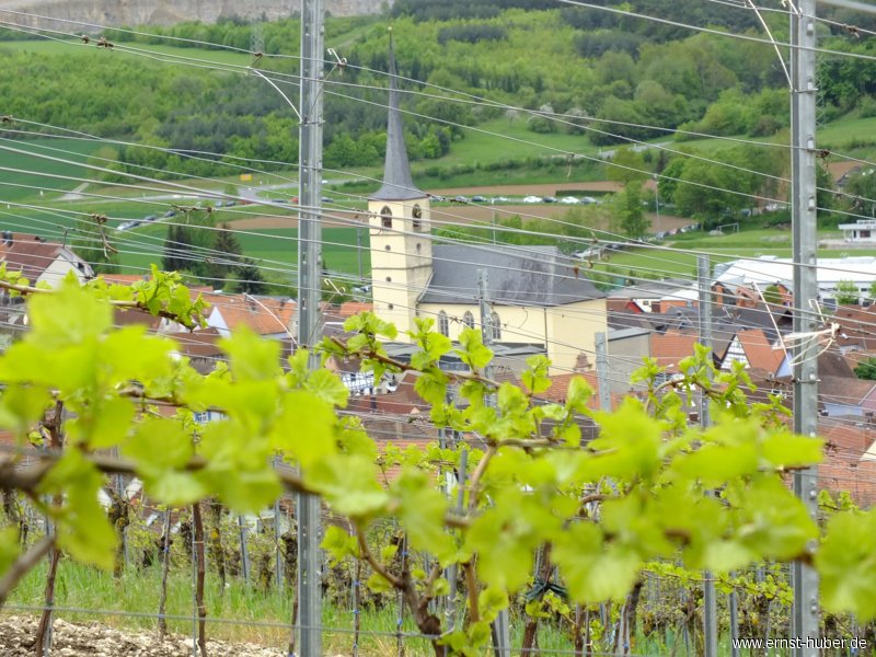 wwandertag2013__185.jpg