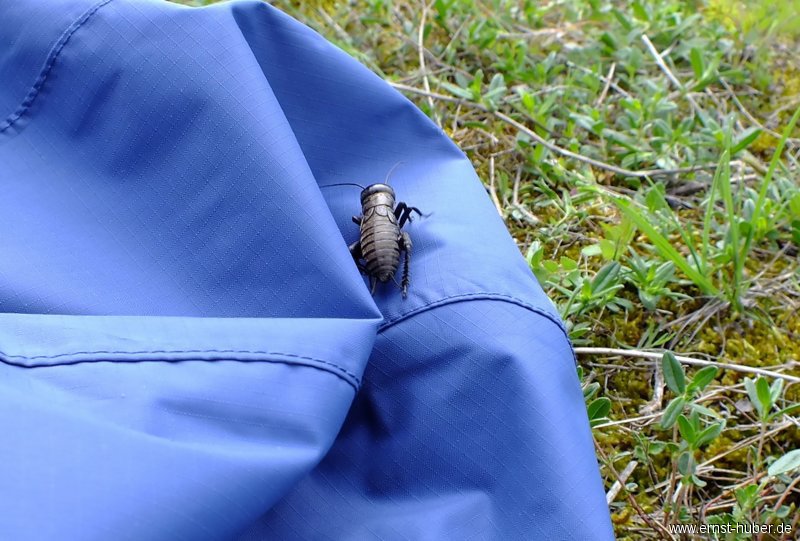wwandertag2013__226.jpg