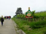 weinwandertag_012.jpg