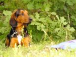 weinwandertag_094.jpg