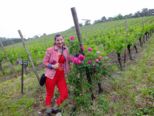 weinwandertag_181.jpg