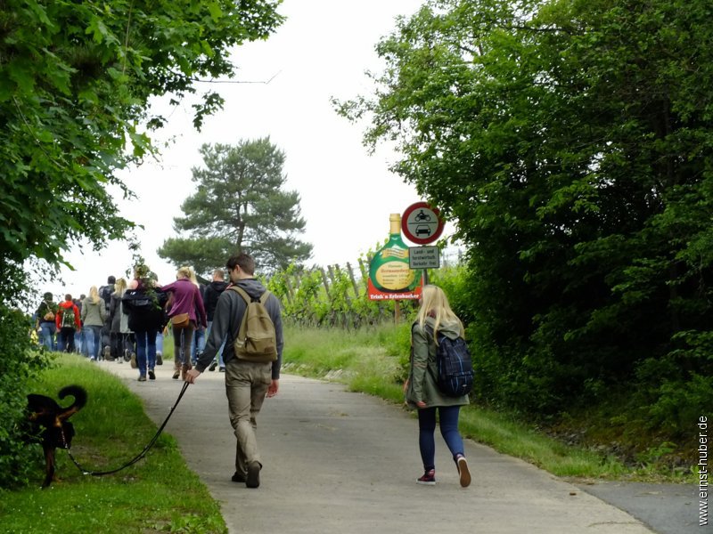 weinwandertag_010.jpg