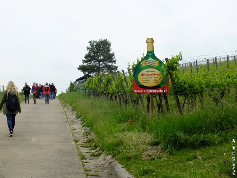 weinwandertag_012.jpg