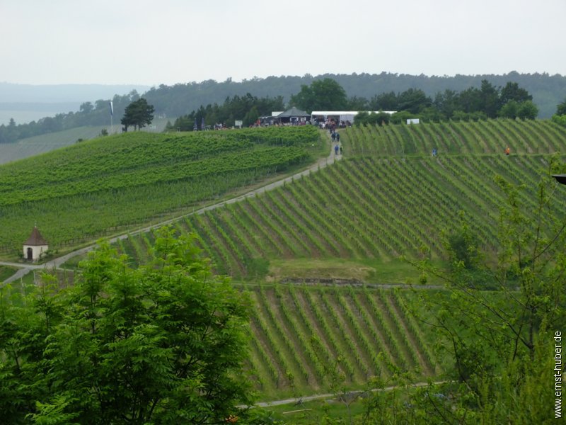 weinwandertag_030.jpg