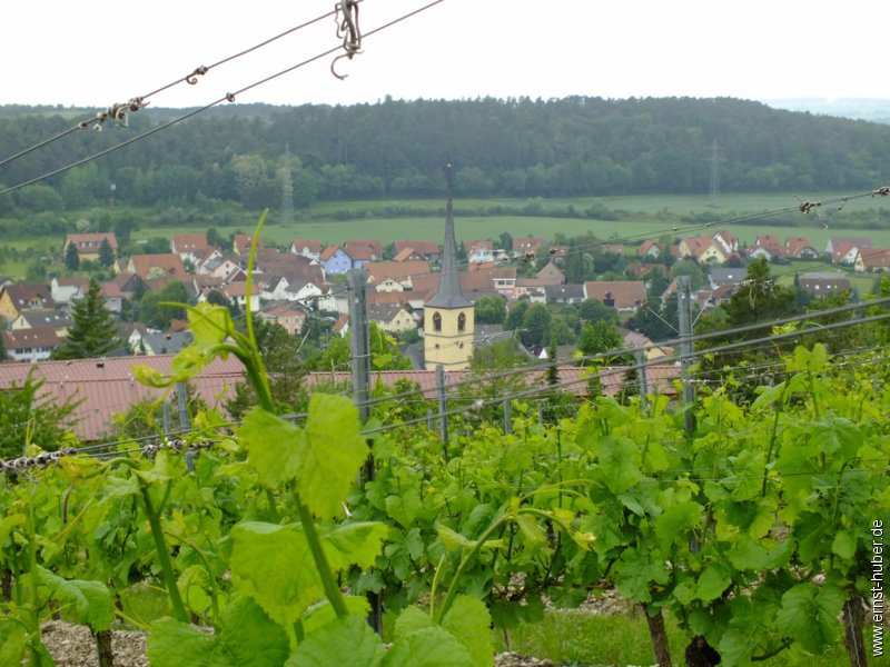 weinwandertag_039.jpg