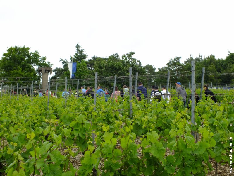 weinwandertag_040.jpg