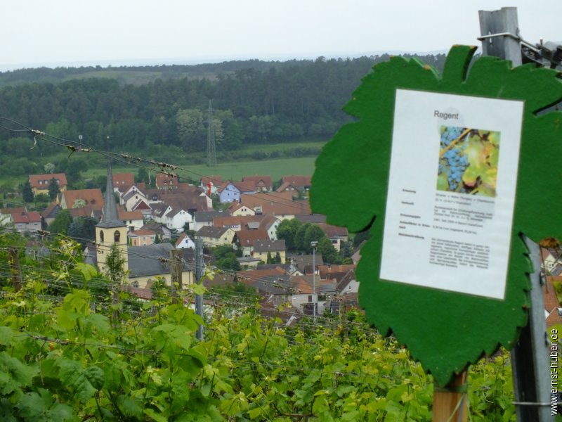 weinwandertag_055.jpg