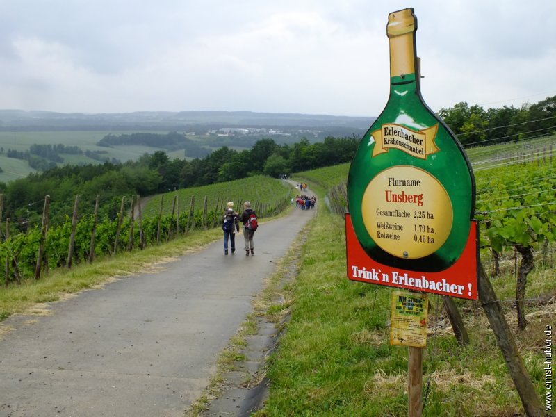 weinwandertag_137.jpg