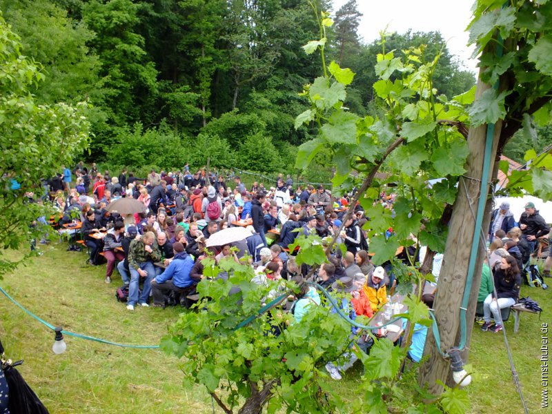 weinwandertag_188.jpg