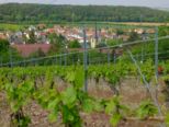 wwandertag2015__033.jpg