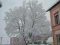 wetter_016.jpg