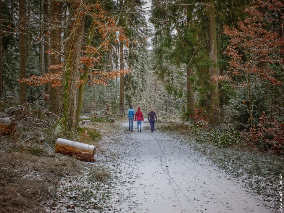 wiesbuettsee_030.jpg