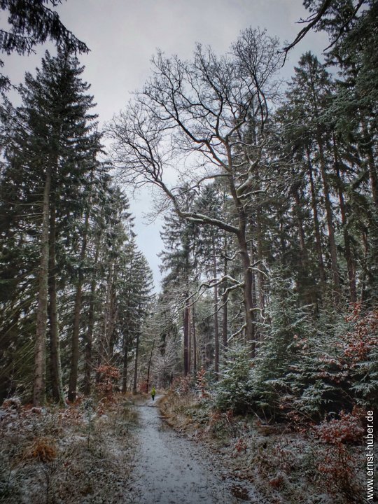 wiesbuettsee_100.jpg