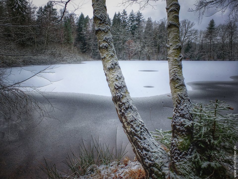 wiesbuettsee_122.jpg