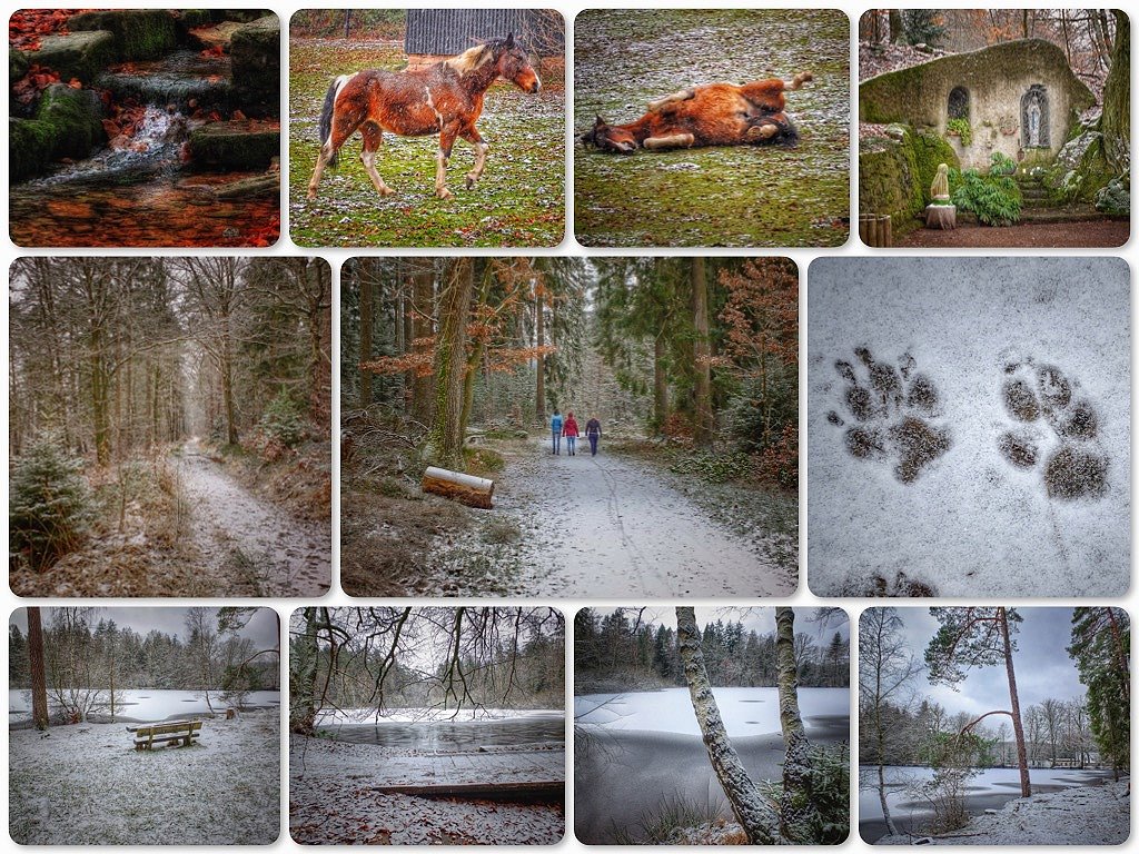 Der Wiesbttsee im Main Kinzig Kreis in Hessen