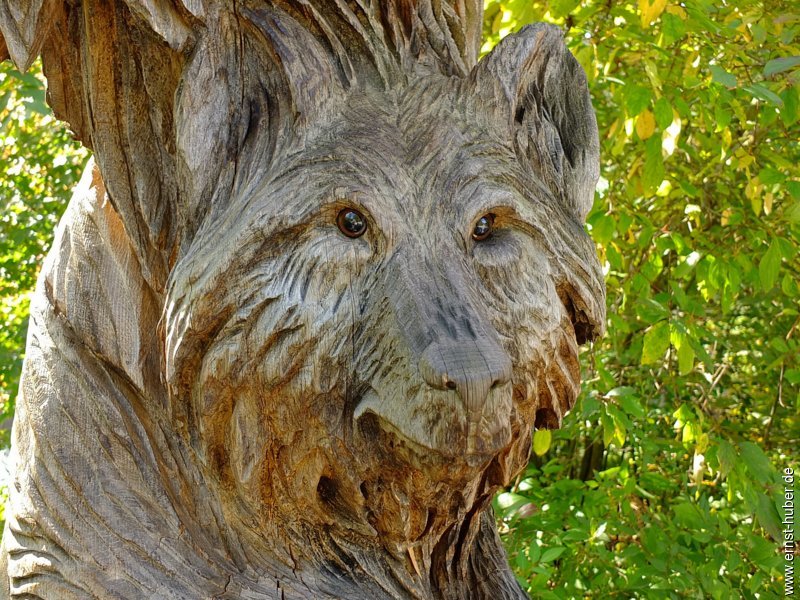 wildpark__522.jpg