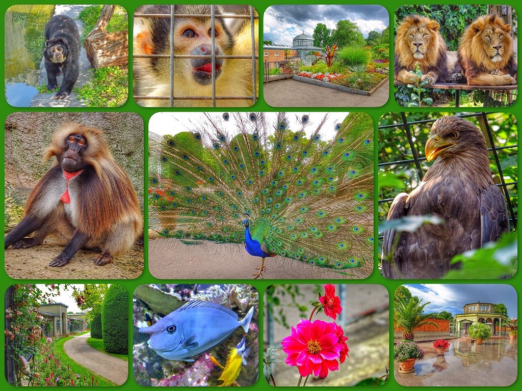 Tagesausflug in den Zoologisch Botanischen Garten Wilhelma  in Stuttgart