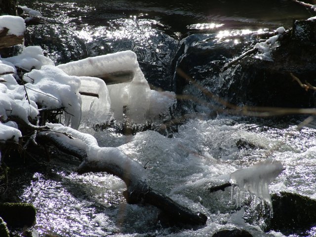 schnee_015.jpg