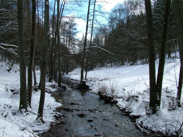 schnee_034.jpg