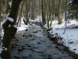 schnee_011.jpg