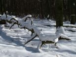 schnee02_018.jpg
