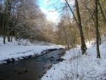 schnee_020.jpg