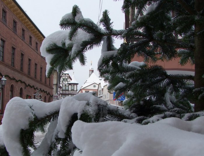 winter_lohr__049.jpg