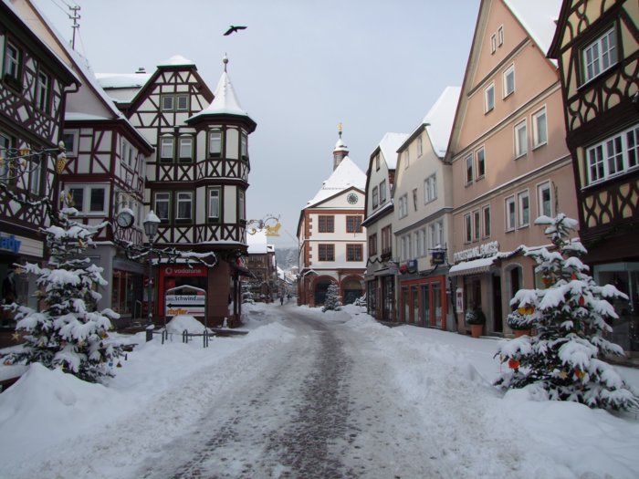 winter_lohr__068.jpg