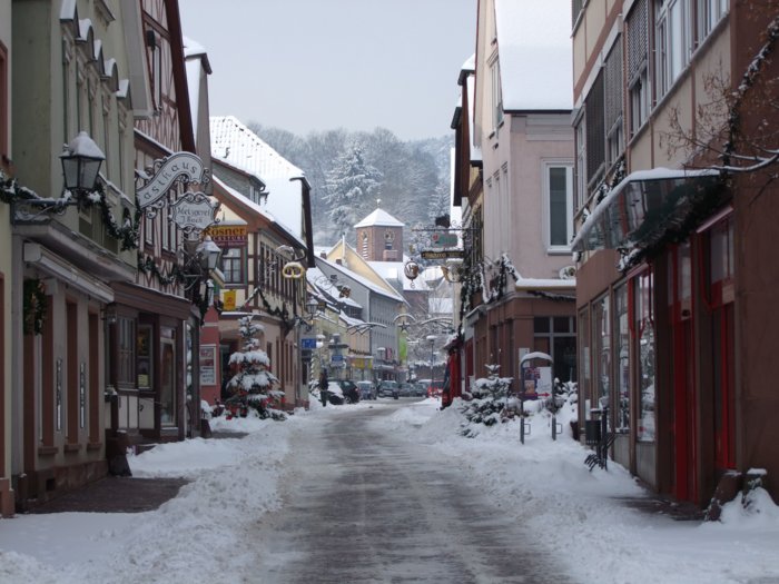 winter_lohr__087.jpg