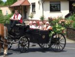 wombach_097.jpg