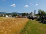 wombach700___095.jpg