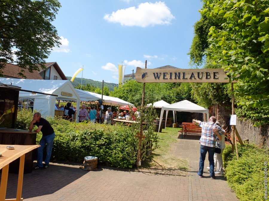 wombach700___134.jpg