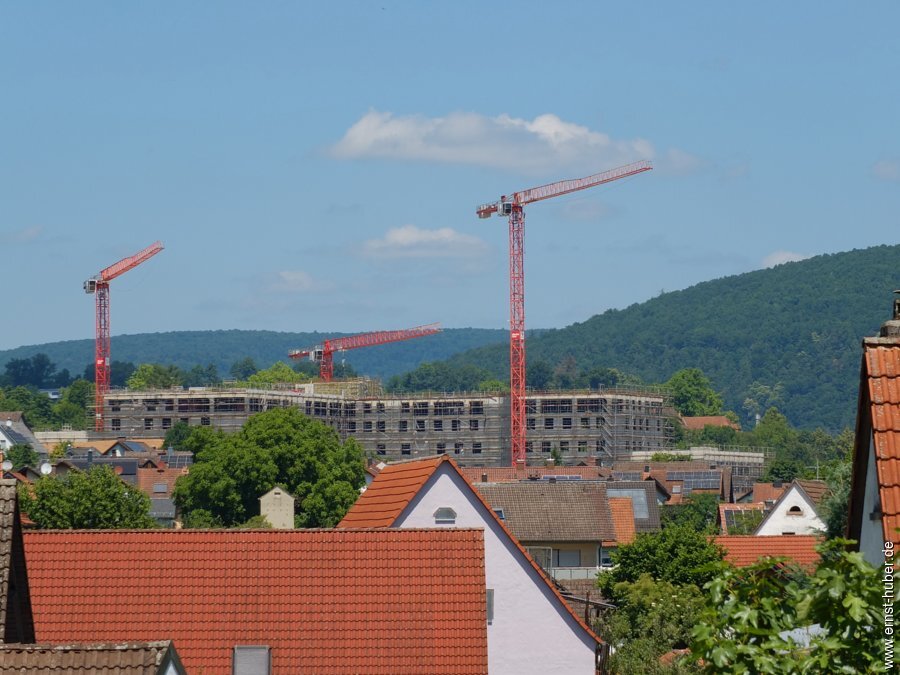 wombach700___167.jpg