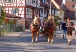 kirb2026wombach__142.jpg