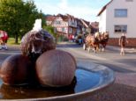 kirb2026wombach__143.jpg