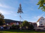 kirb2026wombach__204.jpg