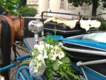 hochzeit_055.jpg