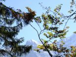 zugspitzland__432.jpg
