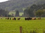 zugspitzland__926.jpg