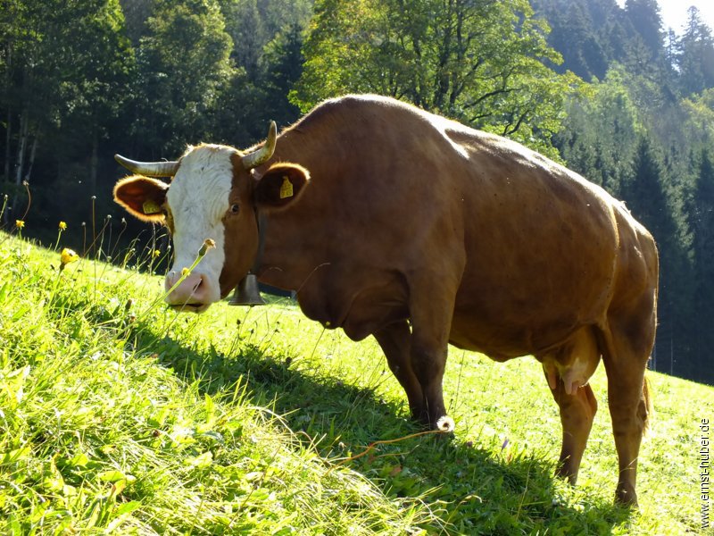 zugspitzland__613.jpg