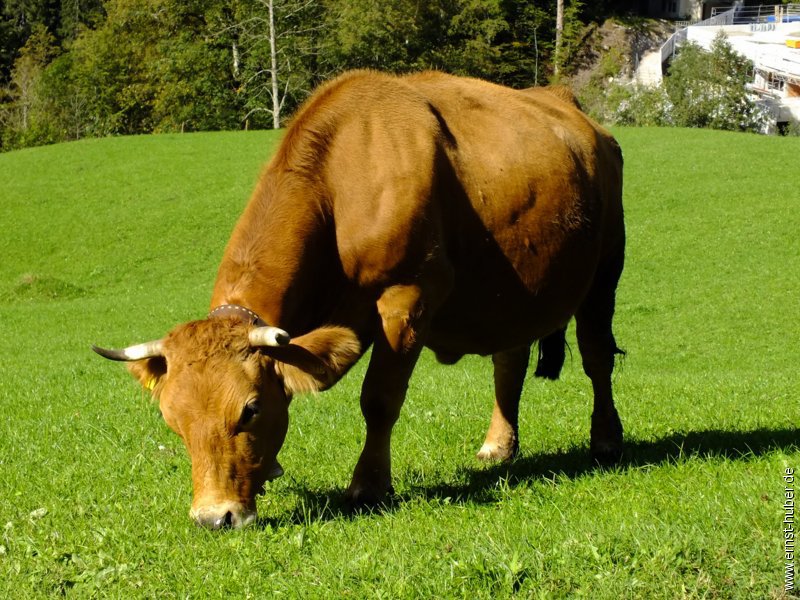 zugspitzland__621.jpg