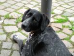 zuguttenberg_021.jpg